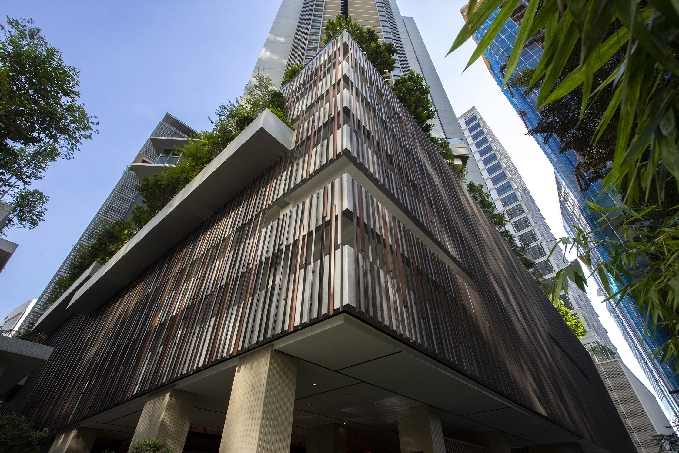 Stonor3_三明轩-1-1