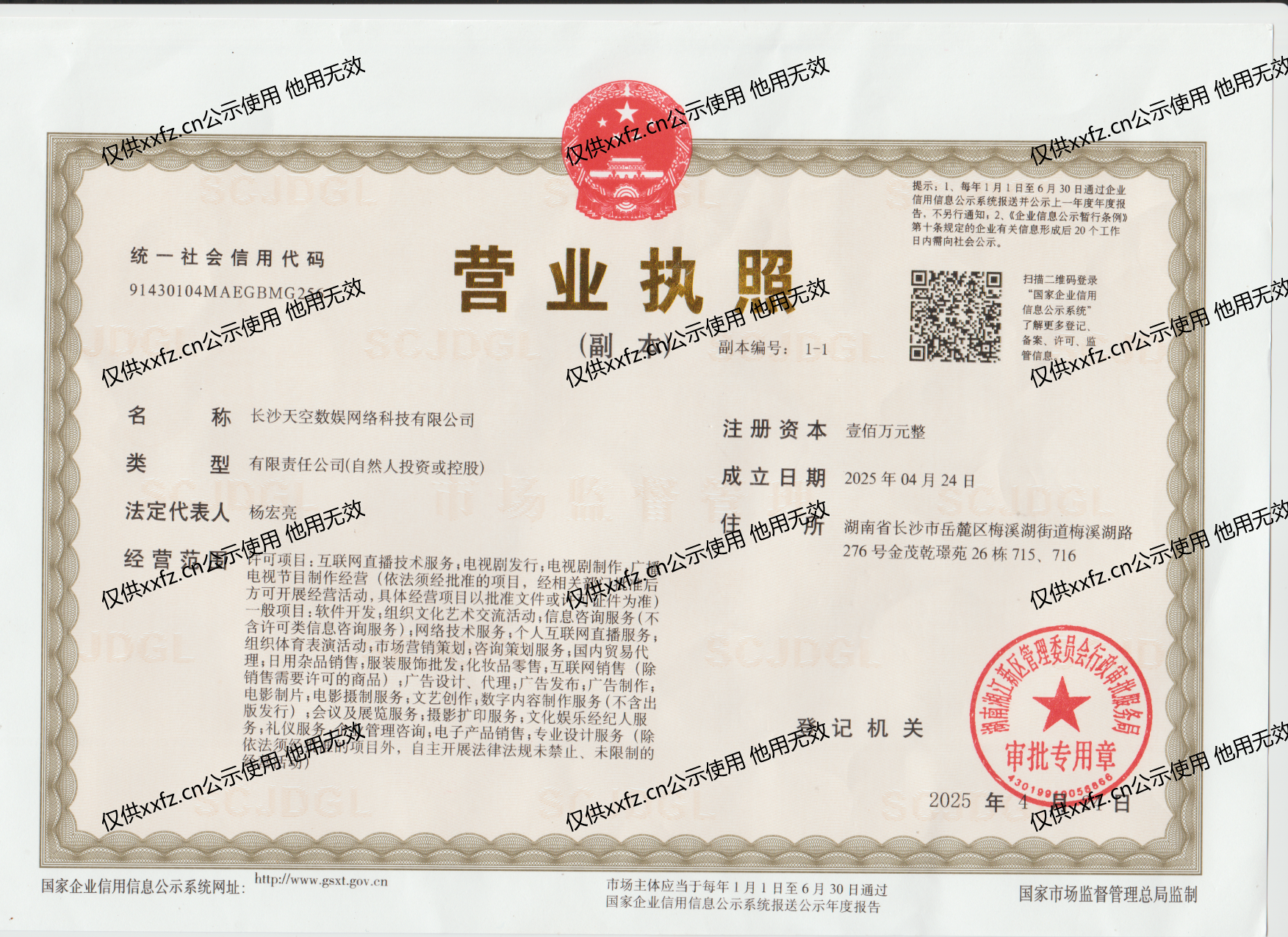 长沙天空数娱乐网络科技有限公司营业执照