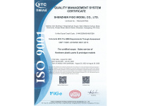 -选择英文版菲戈ISO证书_02