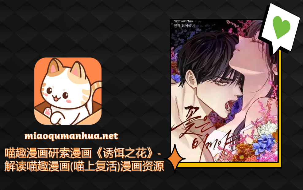 喵趣漫画研索漫画《诱饵之花》-解读喵趣漫画(喵上复活)漫画资源