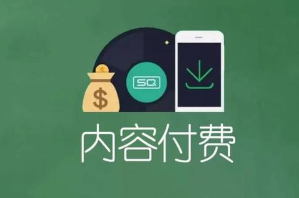 付费