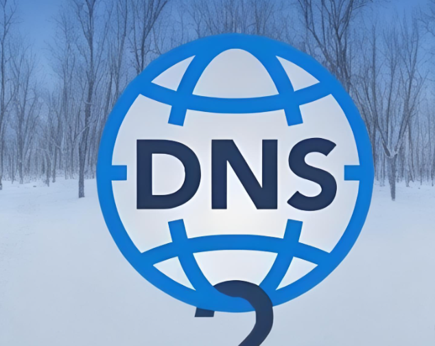 DNS