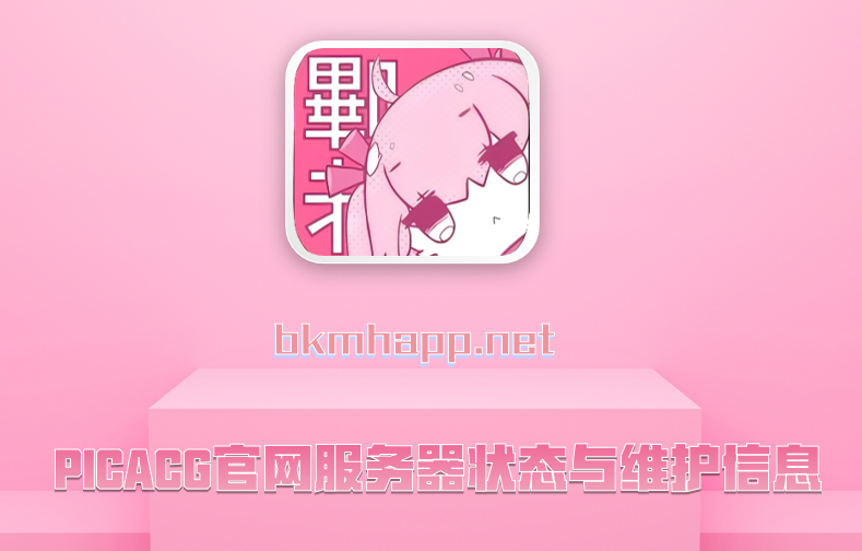 PICACG官网服务器状态与维护信息
