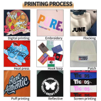 H5e042c2828bf4a81ac0f60f7e0534099n