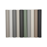 LB准分子麻面颗粒墙纸-4