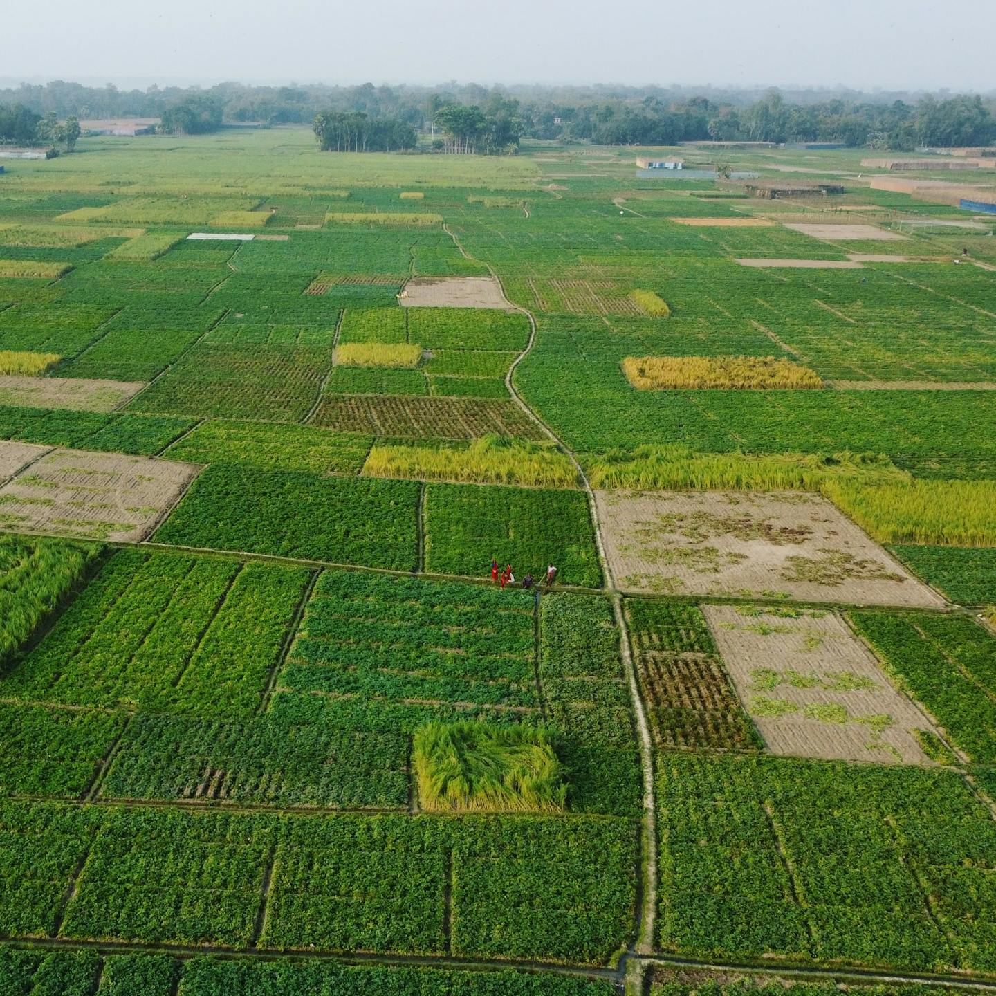 linh-le-a0rE64YJDA4-unsplash拷贝2