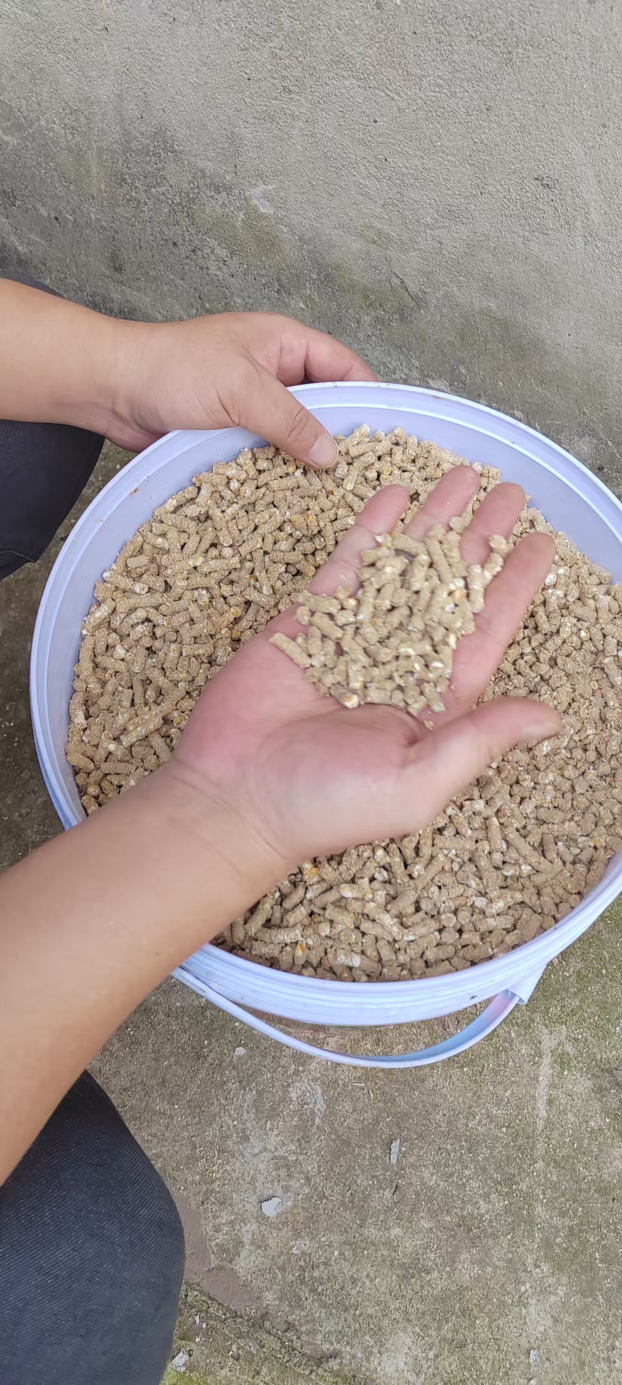 syed-hussaini-bMAAmhm8-KE-unsplash拷贝