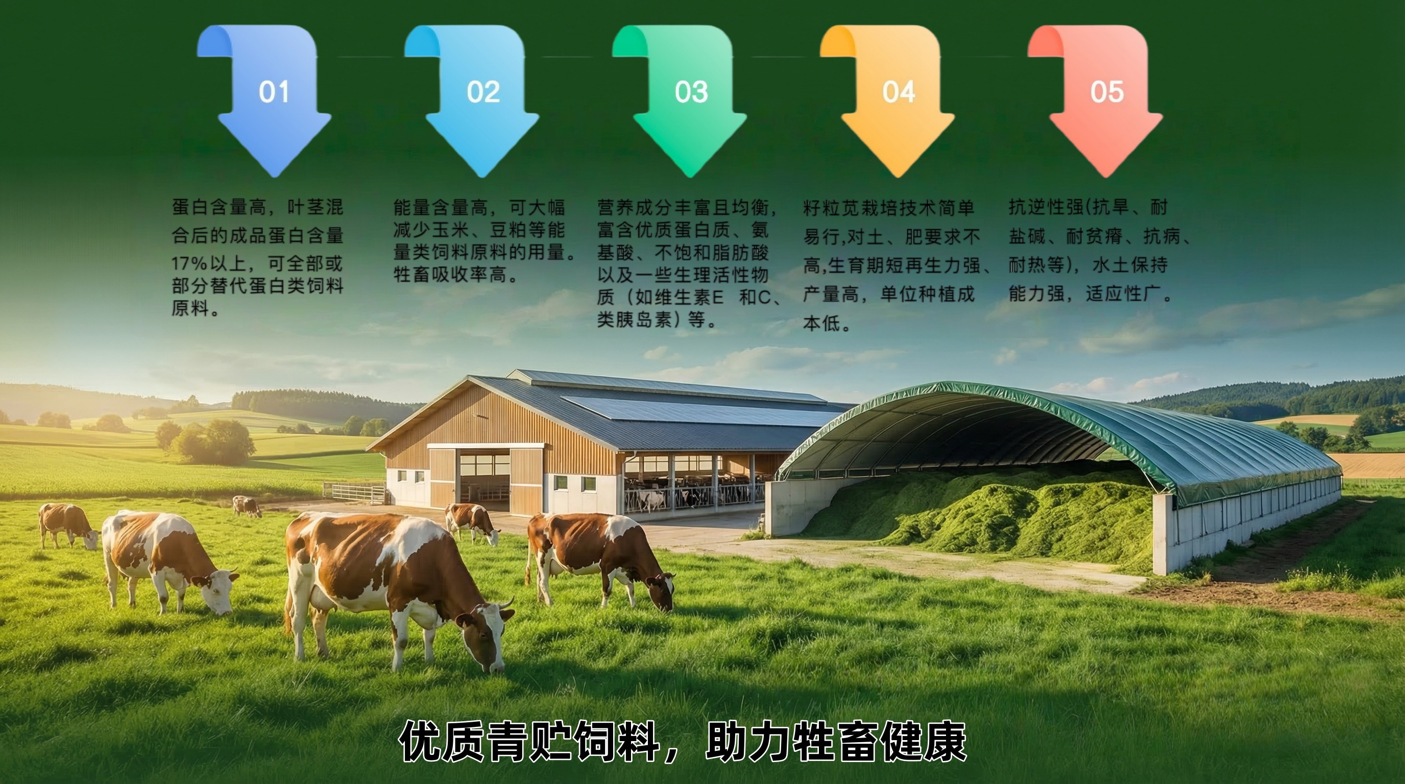 norbert-levajsics-dUx0gwLbhzs-unsplash拷贝