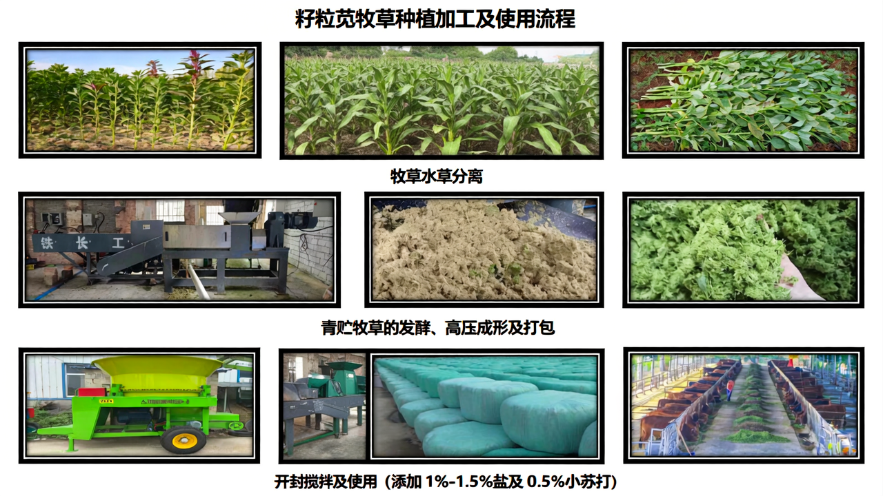 thanos-pal--12cgSu9HW0-unsplash拷贝2