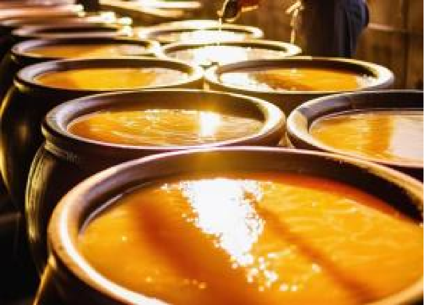 tom-pumford-jM338fW6VE4-unsplash