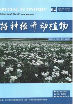 01鹿脑小分子活性肽_00