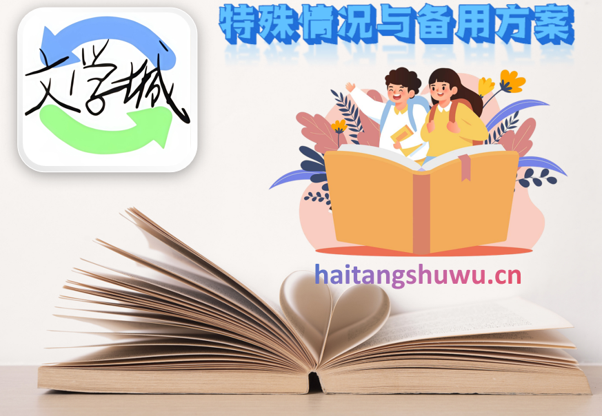 特殊情况与备用方案
