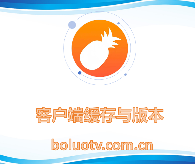 客户端缓存与版本
