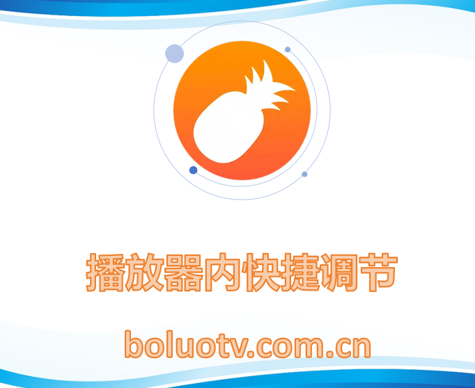 播放器内快捷调节
