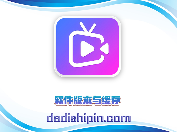 软件版本与缓存
