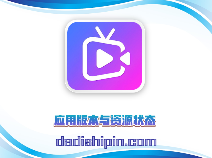 应用版本与资源状态
