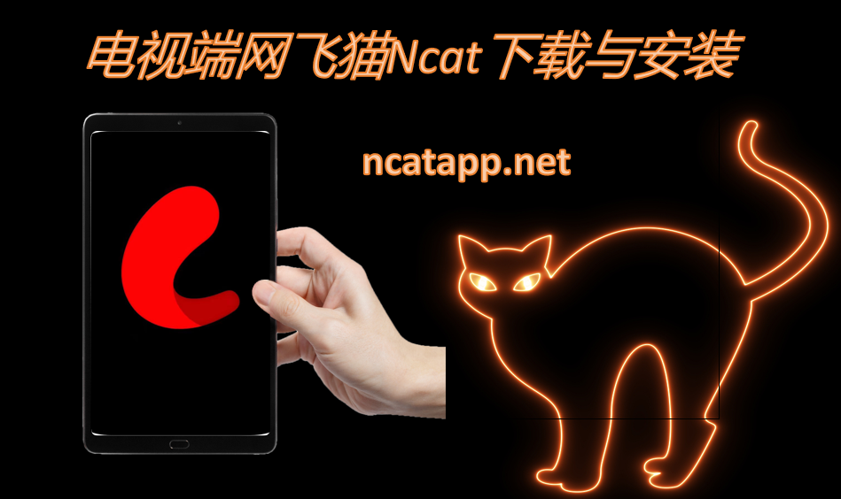 电视端网飞猫Ncat下载与安装

