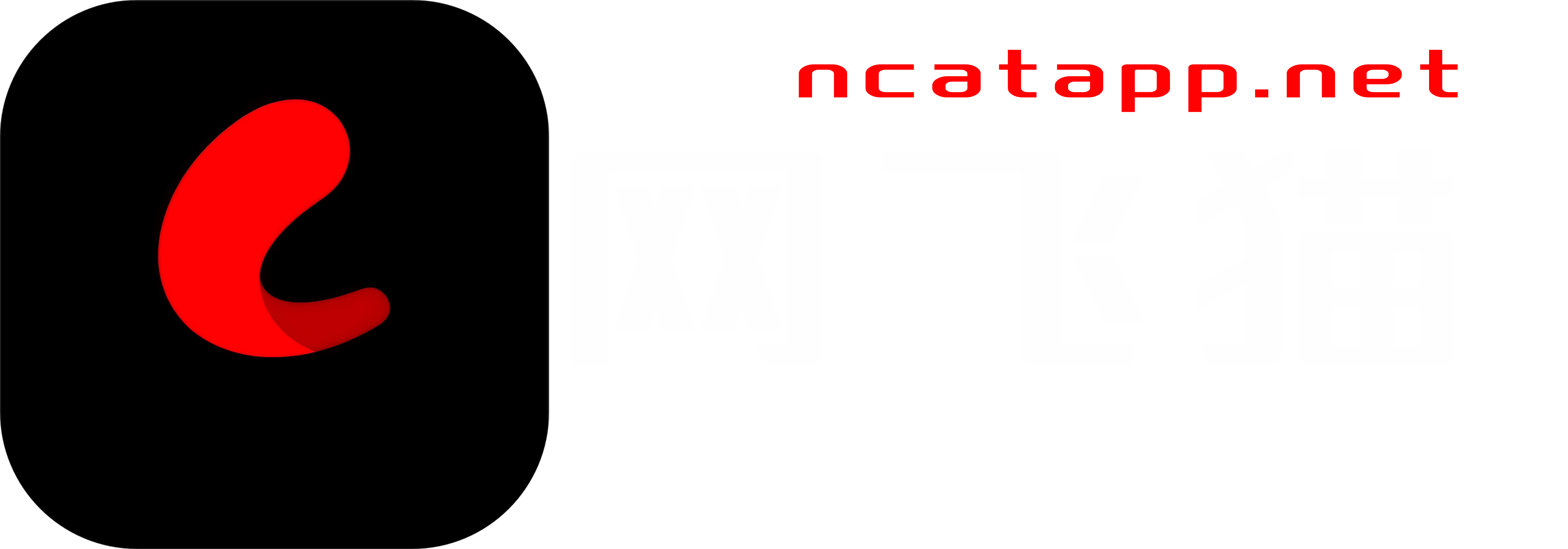 网飞猫
