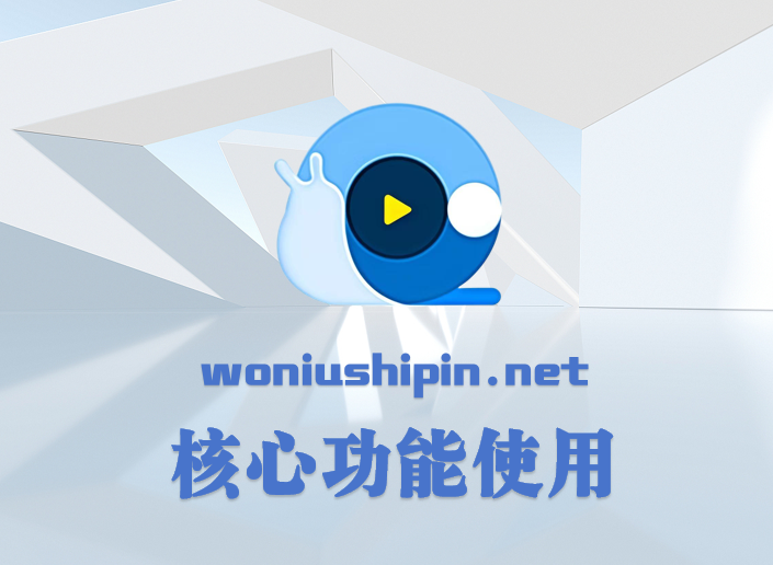 核心功能使用
