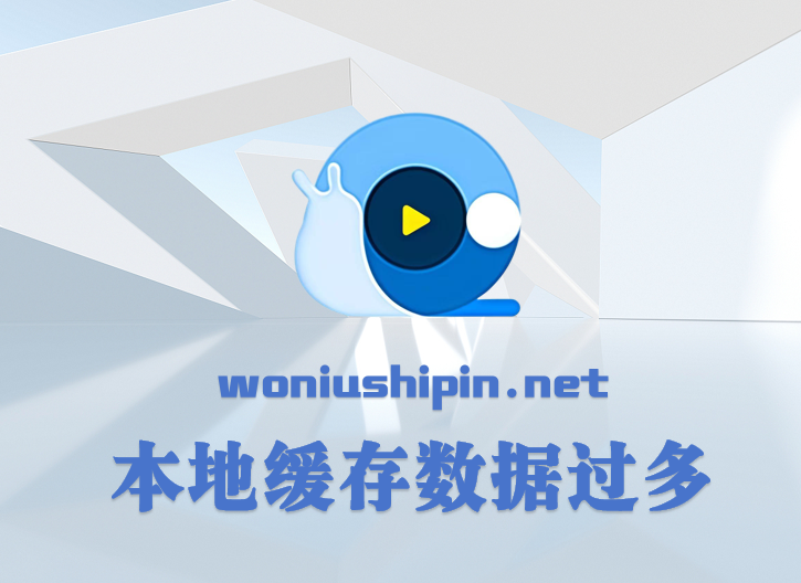 本地缓存数据过多
