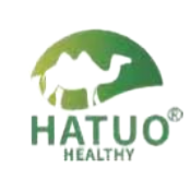 logo11