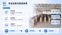 专业航空海关运输体系