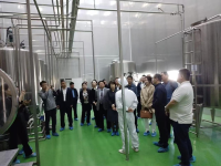 中国集团企业参观生产厂房