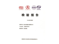 检验报告-2