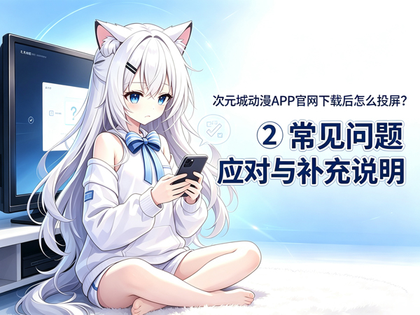 次元城动漫投屏常见问题应对与补充说明
