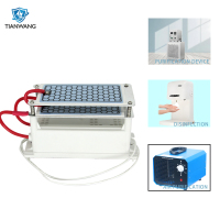 12V Ozone Generator