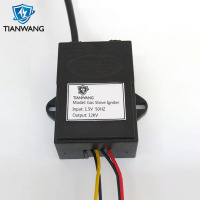 ElectronicPulseIgniter