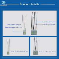 Arc Igniter Module