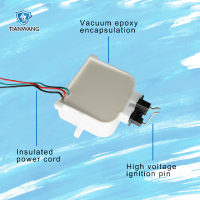 fuelheaterigniter