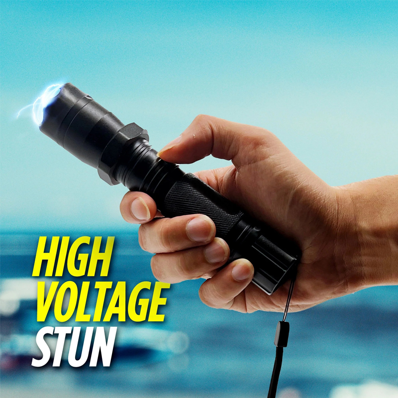 selfdefensetaser